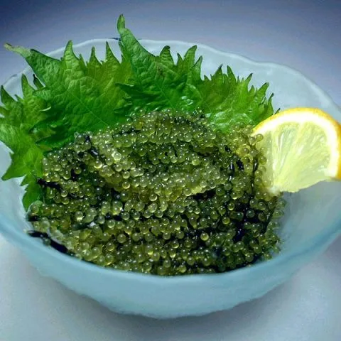 宮古島産・天然海ぶどう